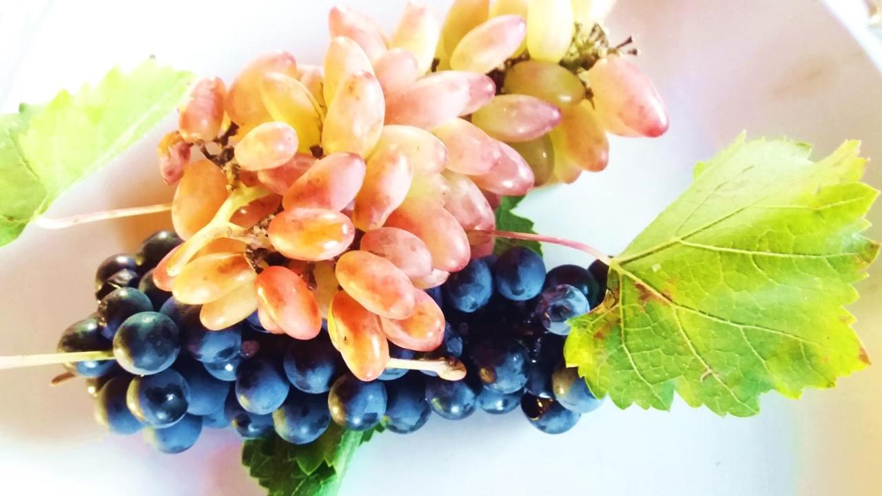 Hotel Chaglasian Wine &