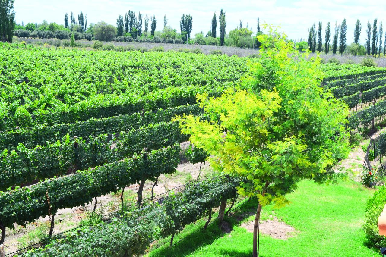 Hotel Chaglasian Wine & *