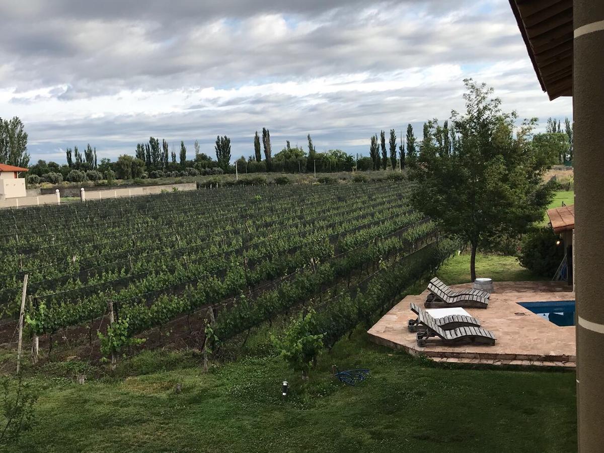Chaglasian Wine &